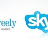 CeBIT 2009: Atrakcyjna usługa w poczcie głosowej Skype
