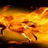 Najlepsze rozszerzenia, które ułatwią nawigację w Firefoksie