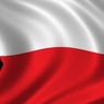 Flaga, kir i żałoba narodowa - w przepisach