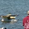 DARPA bawi się z delfinami