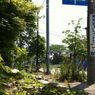Jak wygląda Fukushima rok po atomowej katastrofie?