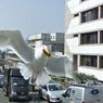 Google Street View widzi wszystko! Zobaczcie 12 niesamowitych zdjęć
