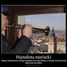 Najgroźniejsze gwiazdy sieci