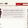 Informatyczny gigant chce stworzyć konkurenta dla Allegro