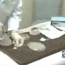 Nowa broń Al-Kaidy - wybuchowe implanty piersi (wideo)