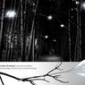 Biomimetyczne lampy LED