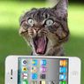 Olaboga! iPhone 4 na wideo