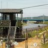 Uwaga na śmiercionośne roboty na granicach Korei Południowej