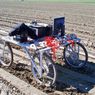 Lettuce Bot - automatyczny morderca chwastów. Koniec z pestycydami?