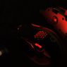 Level 10 M Mouse - wyjątkowo skomplikowany kawał gryzonia