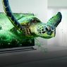 Telewizory 3D: czy to się jeszcze opłaca?