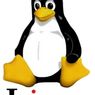 Linux wybije się na kryzysie