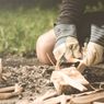 Oszczędne i długotrwałe ognisko. Podpowiadamy, jak i czym je rozpalić