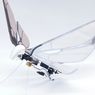 Bioniczny dron MetaFly. Niesamowita maszyna, która lata jak nietoperz