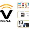 Znane są szczegóły TV Mobilnej Polsatu