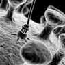 Nanotechnologie wczoraj i dziś. Czy wreszcie czeka nas przełom?