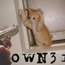 Pwn2Own - Chrome niepokonane, reszta przeglądarek zhakowana
