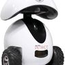 Ten robot będzie bawił się z twoim zwierzakiem, kiedy Ty będziesz poza domem
