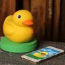 Edwin the Duck - gumowa kaczka też jest smart. Sprawdzi temperaturę wody i opowie bajkę na dobranoc