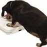 ...dieta, ach dieta, koniec z hurtem...
