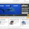 Pikeo - społecznościowa platforma fotograficzna