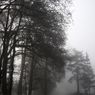 Przeziębienia sezonowe, czyli jak się chronić jesienią