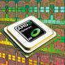 6 i 12 rdzeniowe Opterony od AMD