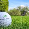 Z Radar Golf już nigdy nie zgubisz swojej piłeczki golfowej