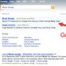 Google reklamuje się na Bing.com