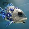 Ryba-robot sprawdza poziom zanieczyszczeń oceanów