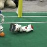 RoboCup, czyli roboty grają w piłkę nożną! (wideo)