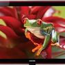 52" LCD Samsunga