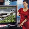 Samsung Fabrizio 650. Stylowy telewizor