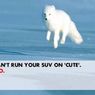 Greenpeace zorganizował Shellowi kampanię reklamową. Zobaczcie jaką