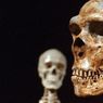 Każdy z nas ma w sobie coś z neandertalczyka
