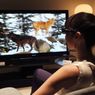 Kamera 3D Sony dla mas?