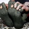 Skarpetki zamiast butów? Nietypowa propozycja firmy Swiss Barefoot