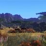 Screeny z Final Fantasy XIV - istna poezja!