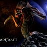 StarCraft - patch 1.16