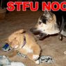 Najpopularniejsze wymówki n00bów