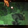 Gry RPG na Microsoft Surface