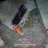 Fallout: New Vegas - Indiana Jones, pistolet Deckarda, wujostwo Luke'a Skywalkera i Monty Python