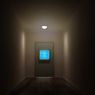 The Witness - kolejna gra twórcy Braid