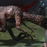 Turok nazwany