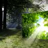 Samsung KS7000: najtańszy telewizor z flagowej linii SUHD 2016