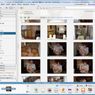 Picasa 3.6 wreszcie po polsku