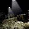 Velvet Assassin nie dla PlayStation3