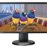 Duże monitory IPS od Viewsonic