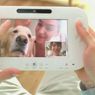 Wii U GamePad. Tablet, pilot i komunikator w jednym
