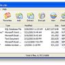 WinZip 12.1 z nowym formatem?